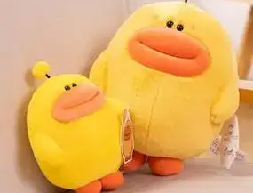 韶关潮玩